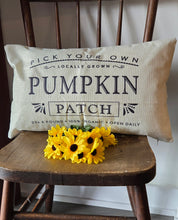 Fall Themed Pillows