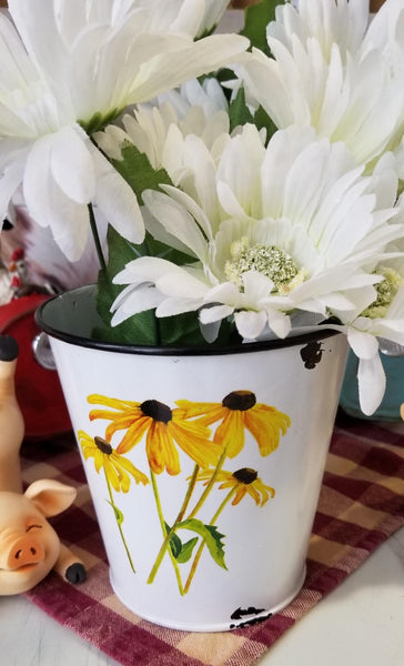 Free Shipping on $50 or more