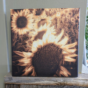 Golden Sunflowers Photo Canvas