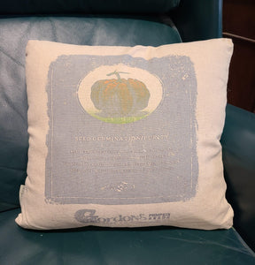 Vintage "Gordons" Pumpkin Seeds Pillow