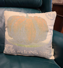 Vintage "Gordons" Pumpkin Seeds Pillow
